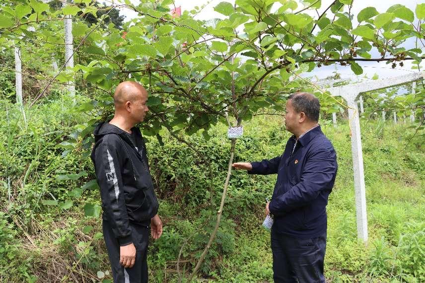 EZPAYǮ����(�й���) - �ٷ���վ